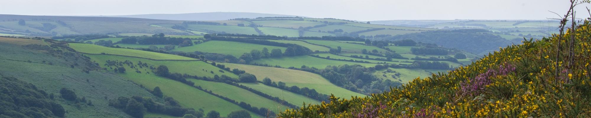 Exmoor views