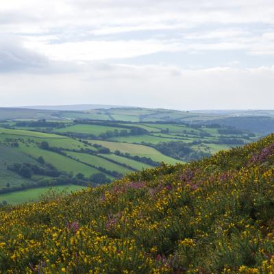 views of the moorland