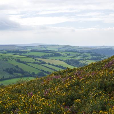 views of the moorland